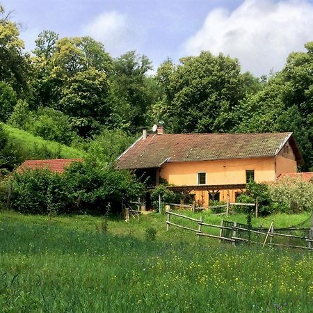 Le Mas De Planaise Saint-Jean-d'Avelanne ภายนอก รูปภาพ