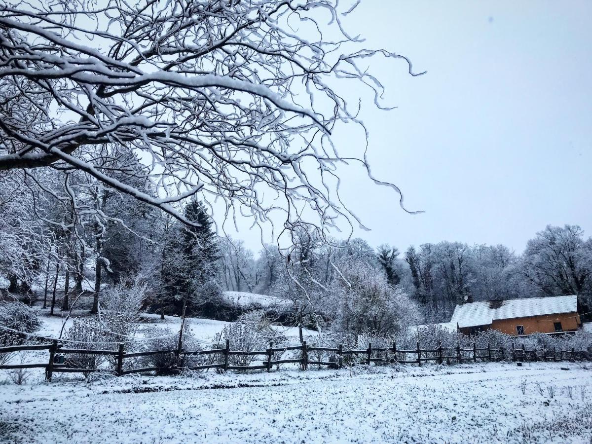 Le Mas De Planaise Saint-Jean-d'Avelanne ภายนอก รูปภาพ