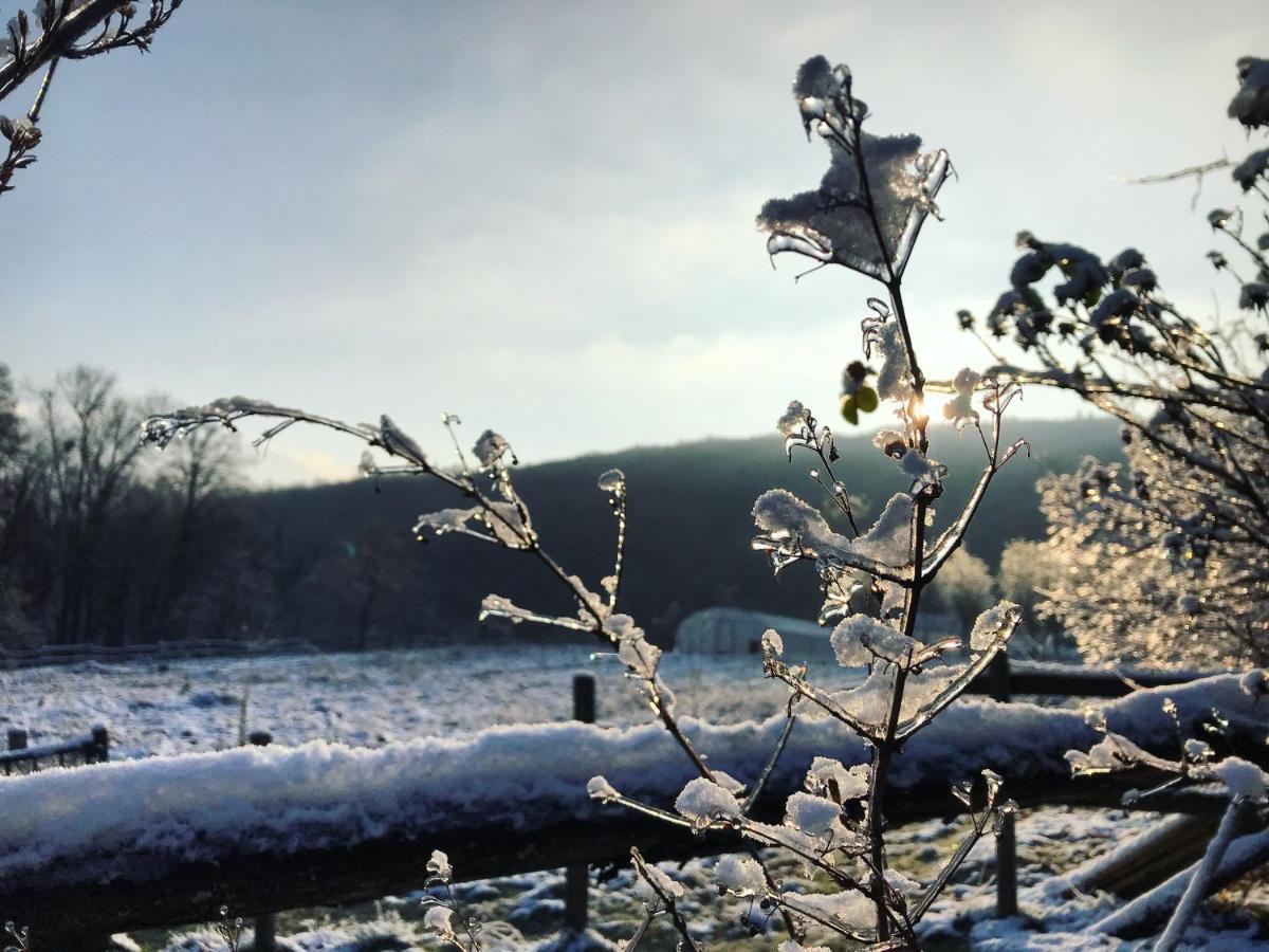 Le Mas De Planaise Saint-Jean-d'Avelanne ภายนอก รูปภาพ