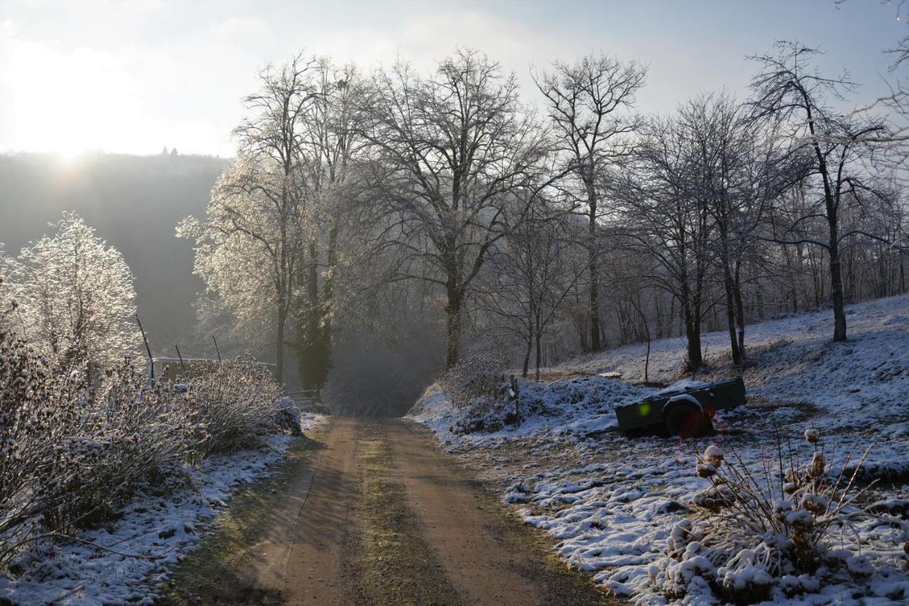 Le Mas De Planaise Saint-Jean-d'Avelanne ภายนอก รูปภาพ
