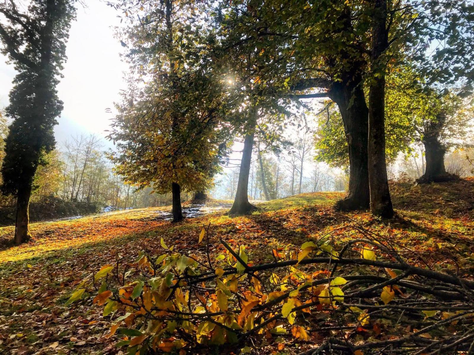 Le Mas De Planaise Saint-Jean-d'Avelanne ภายนอก รูปภาพ